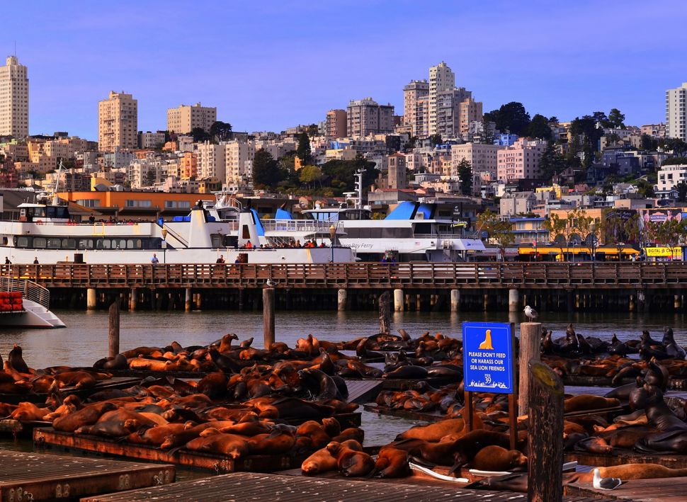 Firmatur og forretningsreiser med Balslev til San Francisco