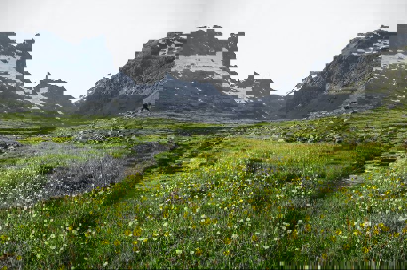 Firmatur i Norge med Balslev, Firmatur til Jotunheimen