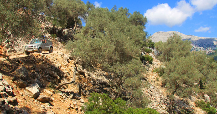 Firmatur til Palma de Mallorca - Aktivitet - med Balslev Firmatur