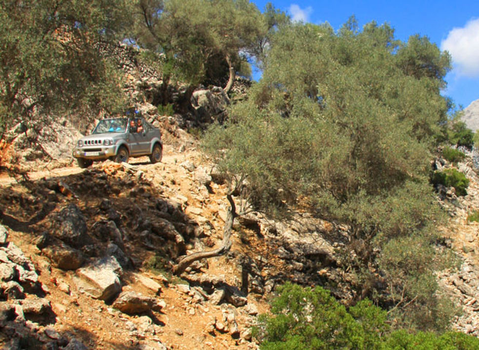 Firmatur til Palma de Mallorca - Aktivitet - med Balslev Firmatur