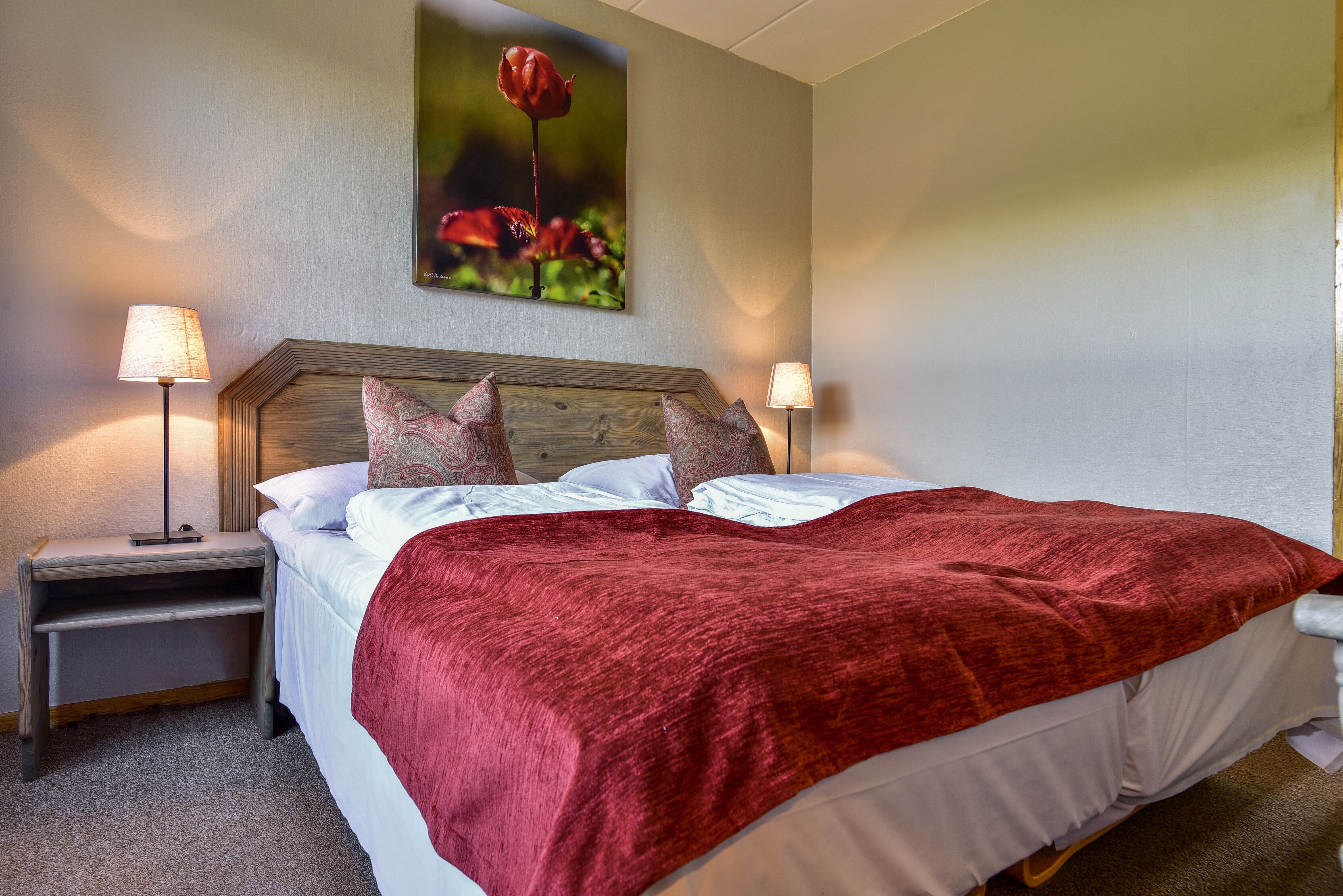 Firmatur i Norge til Skjåk med Balslev