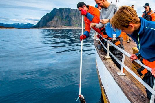 Julebord med Balslev, Julebordstur til Lofoten