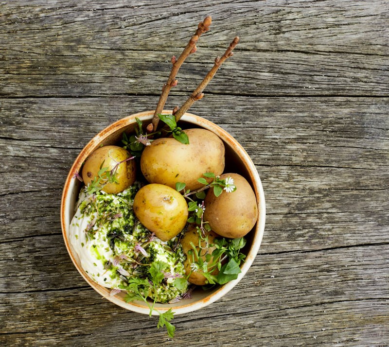 Firmatur til Dragsholm Slot i Danmark