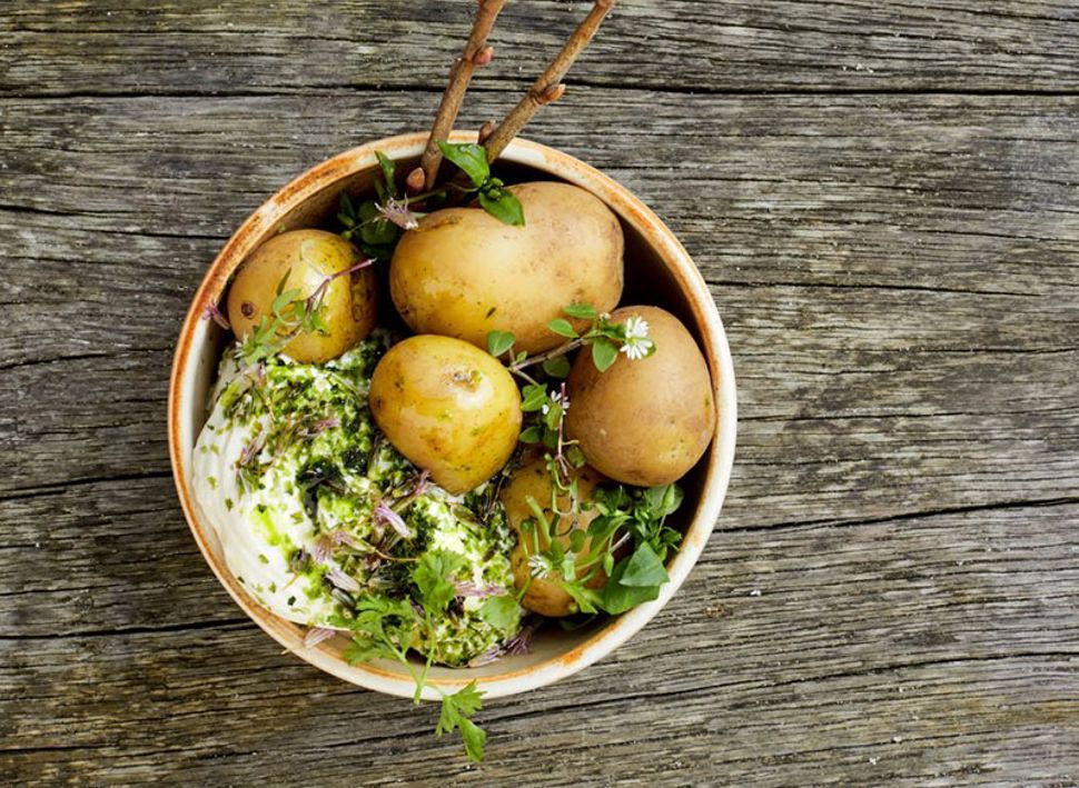 Firmatur til Dragsholm Slot i Danmark