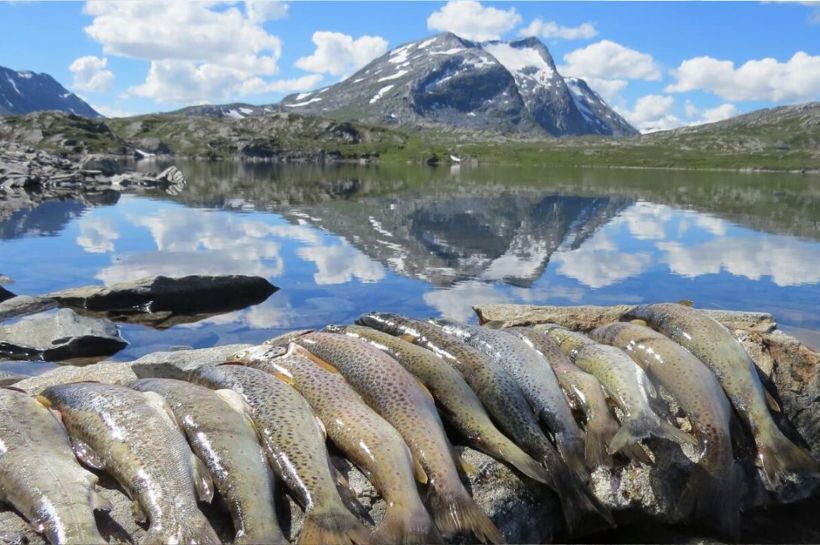 Firmatur i Norge med Balslev, Firmatur til Skjåk