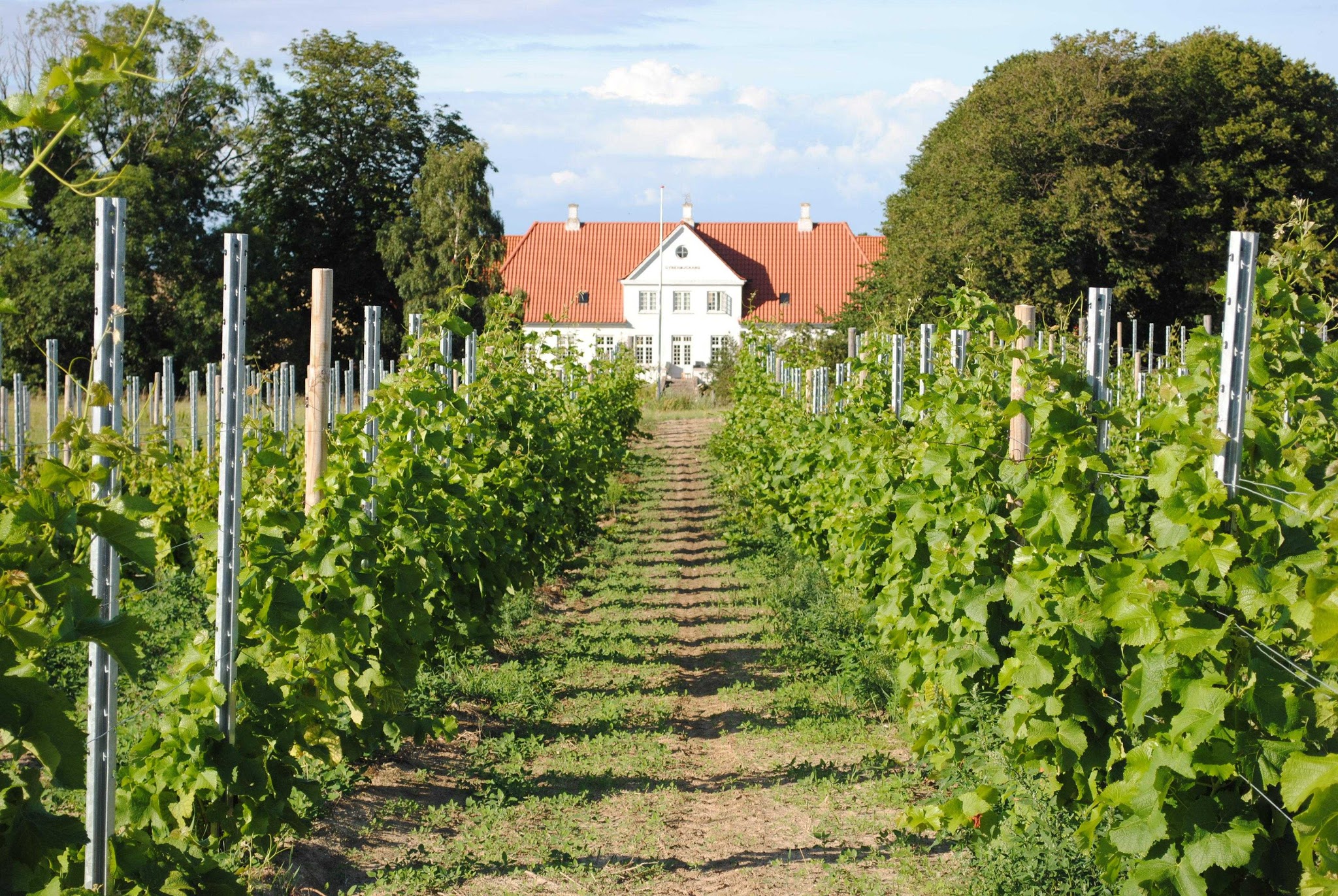Firmatur til København med Balslev