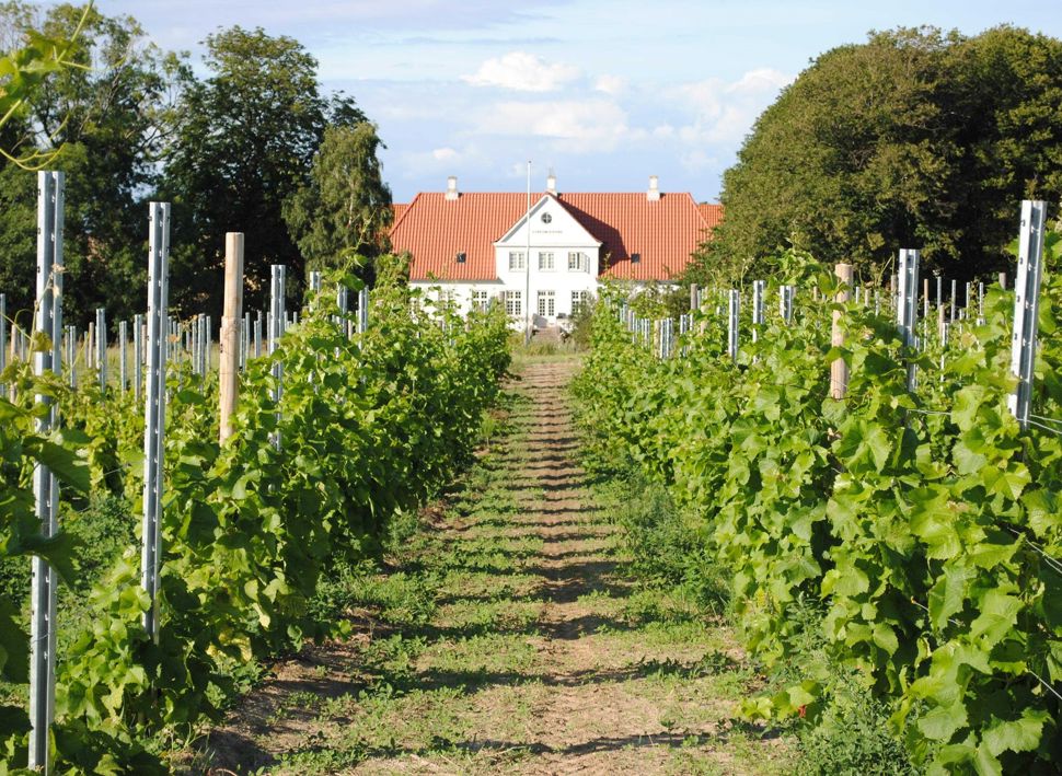 Firmatur til København med Balslev